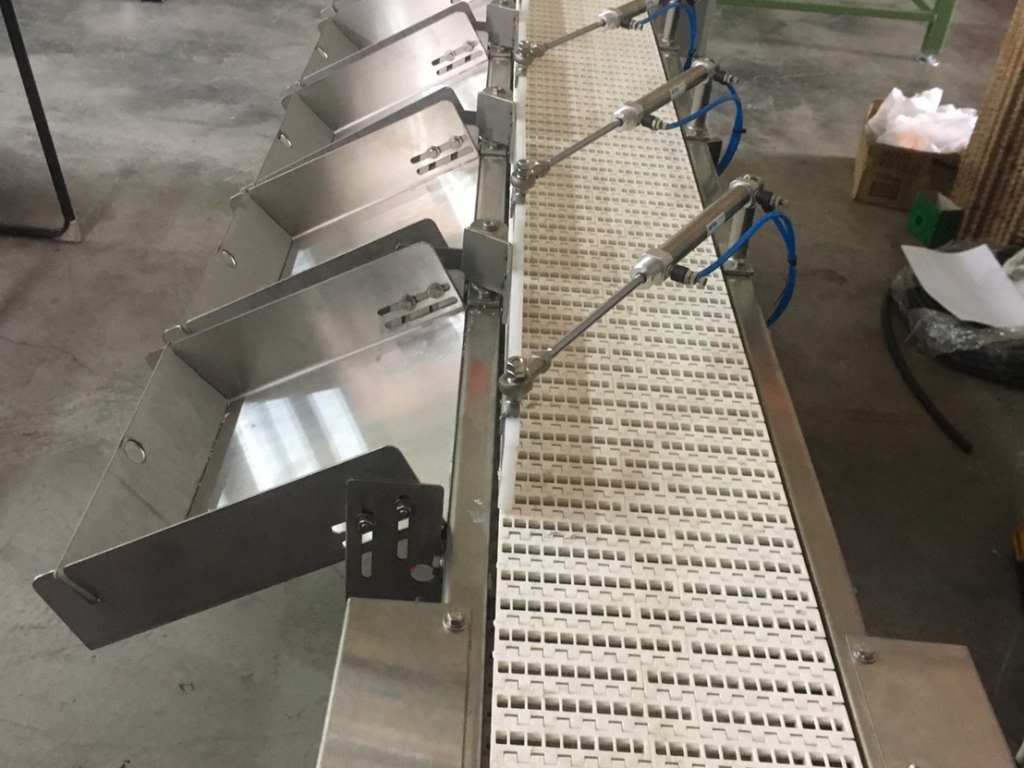 不鏽鋼塑網帶分級輸送機&客戶案例一